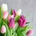 Snittblommor styckvis Tulpaner, blandade färger, Interflora