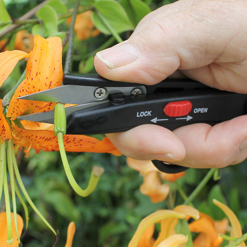 Beskärningssax, Deadheading Snip