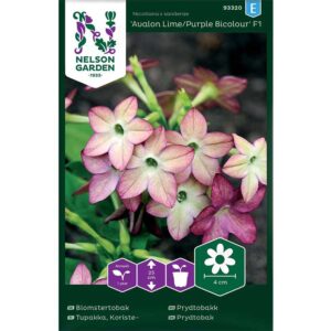 Blomstertobak "Avalon Lime/Purple" F1