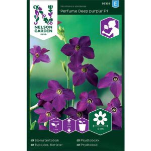 Blomstertobak "Perfume Deep Purple" F1