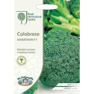 Broccoli "Marathon" F1