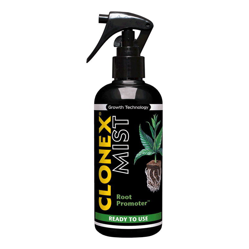 Clonex Mist, 300 ml
