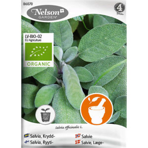 Kryddsalvia, ekologisk