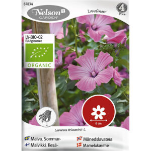 Sommarmalva Loveliness, ekologisk