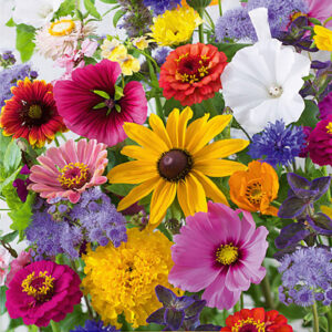 Blomstermix "Last Minute"