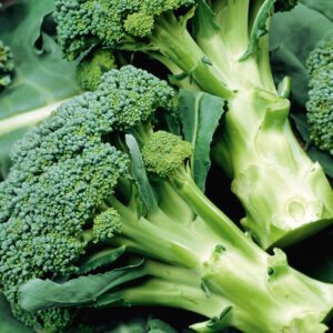 Broccoli "Calabrese Natalino"