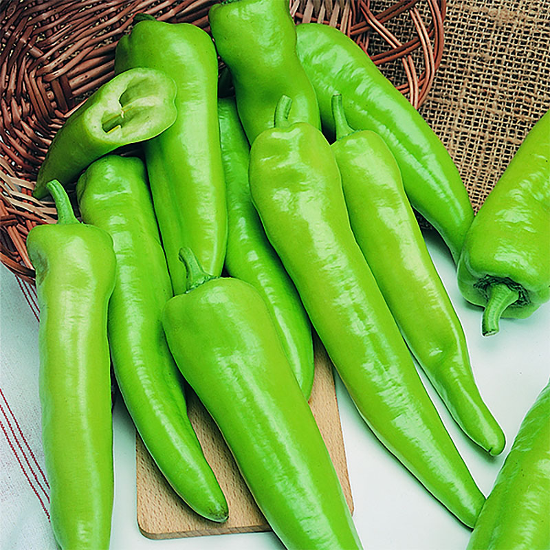 Chilipeppar (Hot) "Anaheim"
