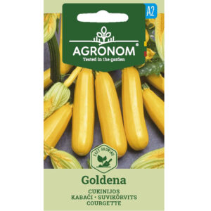 Squash "Goldena"