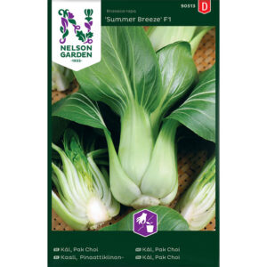Kål, Pak Choi "Summer Breeze" F1