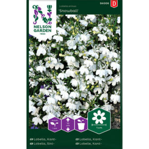 Kantlobelia "Snowball"