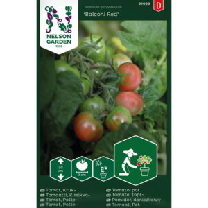 Körsbärstomat "Balconi Red"