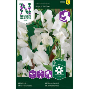 Luktärt "Royal White"