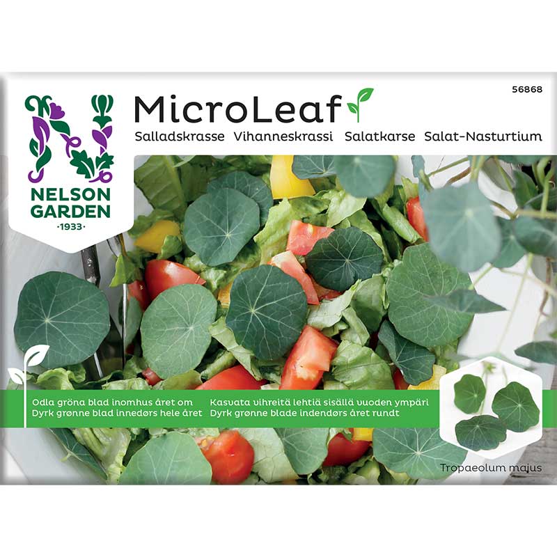 Micro Leaf, Salladskrasse