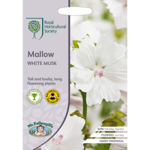 Myskmalva "White Musk"