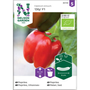 Paprika "Olly F1", ekologisk