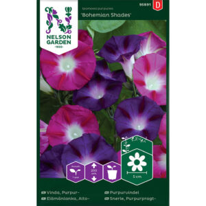 Purpurvinda "Bohemian Shades"