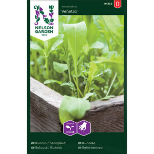 Rucola/Sandsenap "Venetia"