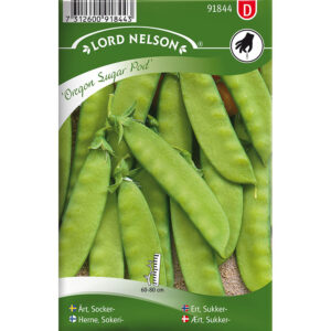 Sockerärt "Oregon Sugar Pod"