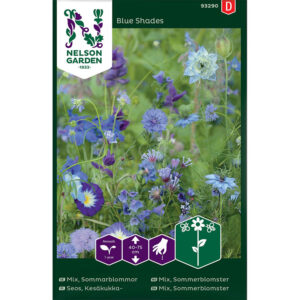 Sommarblommor, mix, blå