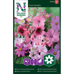 Sommarblommor mix, rosa