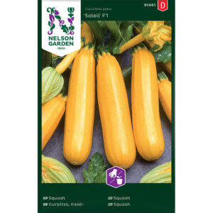 Squash "Soleil" F1