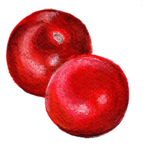 Tomat "Black Ethiopian"