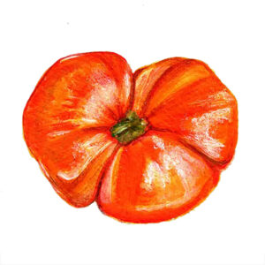 Tomat "Cherokee Tiger Large Red"