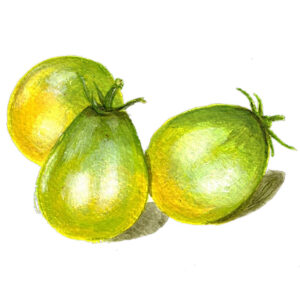 Tomat "Grinch Cherry"