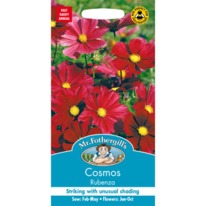 Rosenskära "Rubenza"