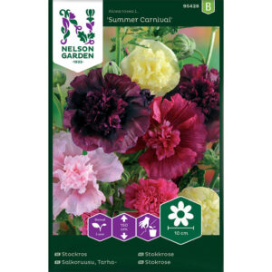 Stockros "Summer Carnival"