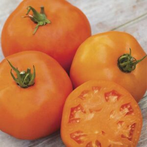 Tomat "Orange Slice" F1