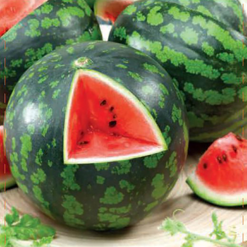 Vattenmelon "Mini Love" F1
