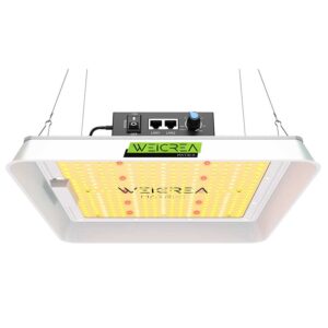 Växtlampa LED - Growboard X 100 W