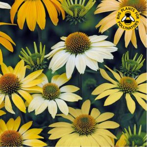 Solhatt "Mellow Yellow"