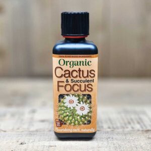 Kaktusnäring Organic Cactus Focus, 300 ml