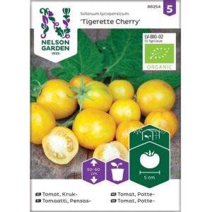 Körsbärstomat "Tigerette Cherry", ekologisk