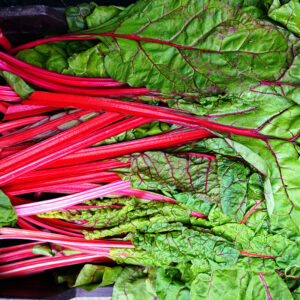 Mangold "Rhubarb Chard"