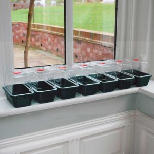 Minidrivhus, mini, svart, 7-pack