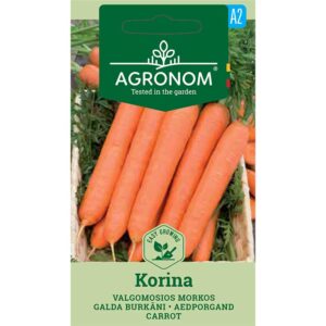Morot "Korina"