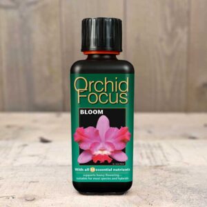Orkidenäring Orchid Focus Bloom, 300 ml