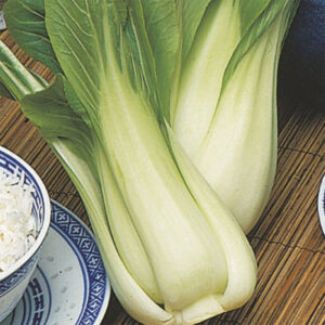 Pak choi "Choko" F1