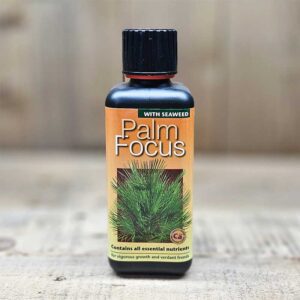 Palmnäring Palm Focus, 300 ml
