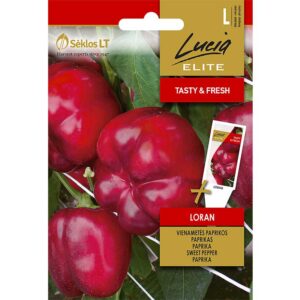 Paprika "Loran"