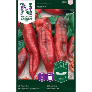 Paprika "Thor" F1