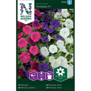 Petunia "Picobella" F1, mix