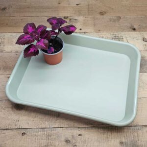 Plantbricka Handy Tray, salvia