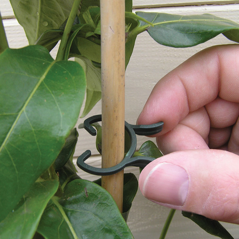 Plantclips