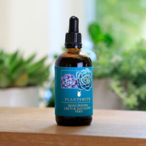 Kaktus- och suckulentnäring, 100 ml