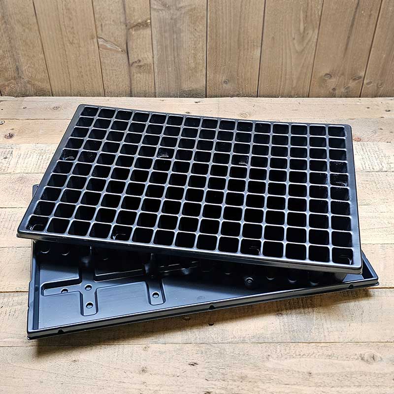 Pluggbrätte 150 celler + bevattningsbricka