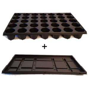 Pluggbrätte 35 celler + bevattningsbricka